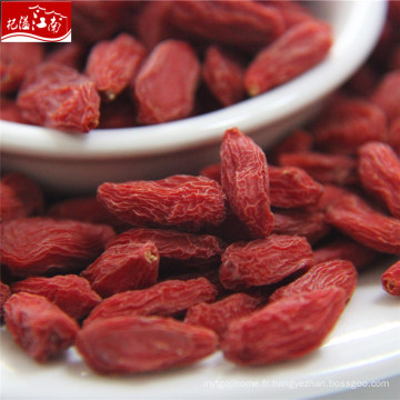 Nouveau distributeur rouge classique goji berry